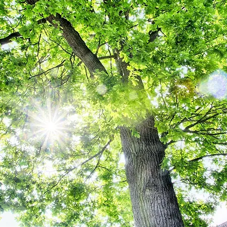 酒店 苏尔埃施酒店